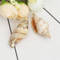 5 PCs Natural Shell Pendants Gold Conch/ Sea Snail Multicolors Charms For Fashion DIY Handmade Jewelry Making. 