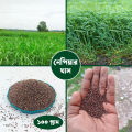 নেপিয়ার ঘাসের বীজ ১০০ গ্রাম.