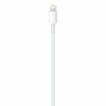 USB-C to Lightning Cable.