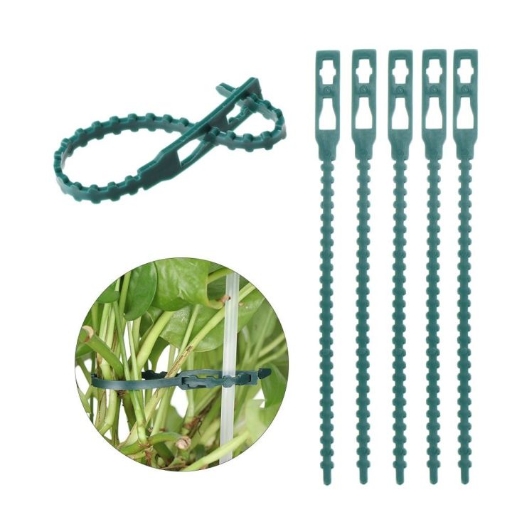 Reusable%20Gardening%20tool%20Plastic%20Shrubs%20Fastener%20Plant%20Cable%20Ties%20Tree%20Climbing%20Support%20Gardening%20Fishbone%20Ties%20-%20Image%206