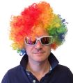 Adult Multi Coloured Rainbow Circus Curly Afro Clown Wig Halloween Fancy Dress. 