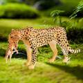 Leopard Toy Figurine Leopard Figures for Educational Toys Desktop Decor. 