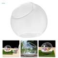 Terrarium Centerpiece Container for Home Decor Party Garden Diameter 15cm.