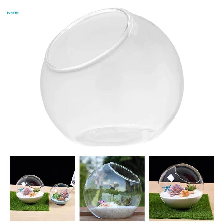 Terrarium%20Centerpiece%20Container%20for%20Home%20Decor%20Party%20Garden%20Diameter%2015cm%20-%20Image%203
