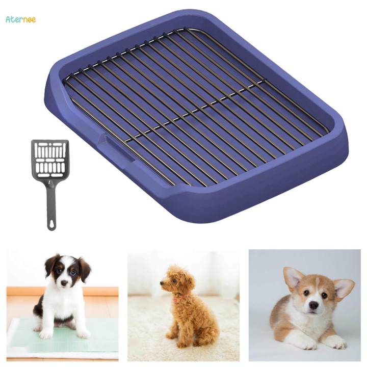 Hondentoilet Indoor Met Kunstgras En Plaswand – Geschikt Voor Kleine Honden En Puppy's, Makkelijk Schoon Te Maken, Ca. 46x35x24 Cm (blauw)