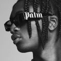 2023 New Punk Style PALM Letters Fashion Sunglasses Black Frame Ins Hip Hop Sun Glasses Unisex for Women Men. 