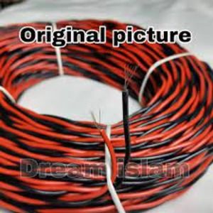 Electric%20lotha%20Cable%2014/76%20cable%201%20coil.%20Electric%20Lotha%20Cable%20whoalsel%20-%20Multi%20Plug%20-%20Image%202