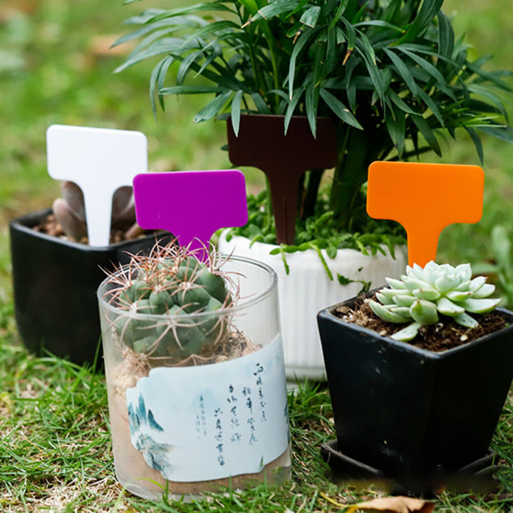 100PCS%20garden%20classification%20label%20Plastic%20writing%20board%20T-type%20waterproof%20flower%20label%20-%20Image%205