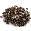 Papaya Red Lady F1 Hybrid -25 pcs Seed. 