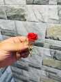 Rose brooch in Halloween crown Women's brooches party pins Badge Saftypin for Girls and Women.