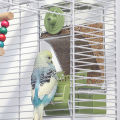 GC No Mess Automatic Bird Feeder, Transparent Seed Food Container, Parrot Feeder Cage Accessories For Small Birds Parrot Cockatoo Canary Parakeets. 