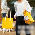Cat Carrier Bag Canvas Pet Shoulder Bag for Puppy Small Dogs and Cats Hiking. 