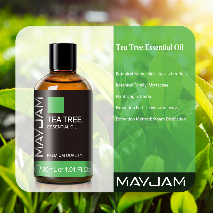 MAJYAM%2030ml%20Pure%20Natural%20Tea%20Tree%20Essential%20Oils%20Diffuser%20Aromatic%20Oil%20Eucalyptus%20Mint%20Lemon%20Rosemary%20Cinnamon%20Lemongrass%20Oil%20-%20Image%202