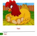 Tweet, says the Bird (Level 2  | Book 3). 