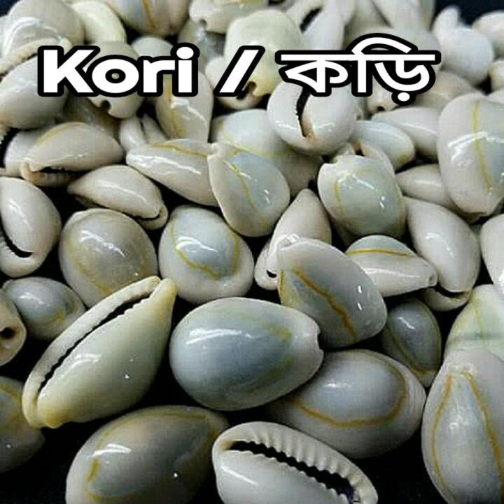 Kori%20/%20cori%20-%202%20pcs%20-%20Image%204