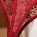 Japanese thong women's light sense aesthetic embroidery see-through temptation bikini girls panties low-waisted ultra-thin 2251. 