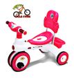 RFL Jim & Jolly Rock Rider Tricycle with Music and Light / Tricycle for Kids and  Bike for Babys & Kids Tricycles For Baby Prince Cycle Store. 
