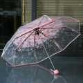 Flower Print Transparent Ladies Folding Umbrella. 