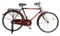 AKIJ BICYCLE AKIJ STEEL 1-SPEED BIJOY S/B RB COLOR heavy duty cycle. 