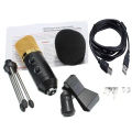 BM-100FX USB Powered Condenser Studio Recording Microphone with Noise Cancel and Echo Effect Complete Package Price Mic Condenser Microphone. 