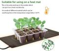 Transparent plastic plant propagate seed tray 12 cells - Vintage Choice - Exclusive Experience. 