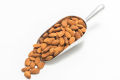 Almonds - 100gm. 