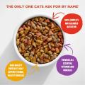 Adult mixed cat food 500gm (7 item). 