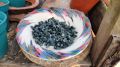 Bluish Color Stone (নিলচে রঙ এর পাথর) - 0.5 kg /01 KG Pack of Natural Blue Color Decoration Stone Rocks for Aquarium and Many More Decoration Use.