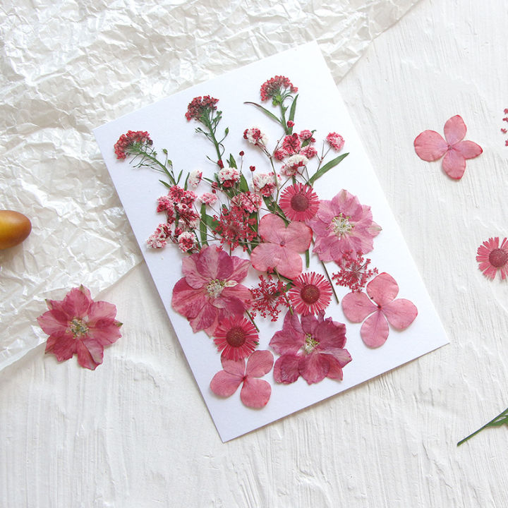 Sweet%20Journal%2018PCS%20Pressed%20Flower%20Mixed%20Dried%20Flowers%20Natural%20Floral%20DIY%20Crafts%20Scrapbooking%20Resin%20Art%20Journaling%20Decorative%20-%20Image%203
