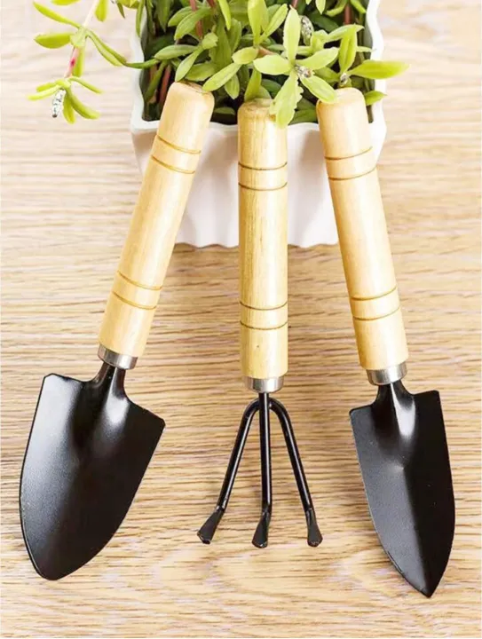 3%20pcs%20Large%20Garden%20Tools%20Set%20Garden%20Tools%20Set%20Large%2010"%20-%203%20PCS%20gardening%20tools,%20Garden%20tool%20-%20Image%209