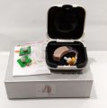 Audi Sound Hearing Aid.