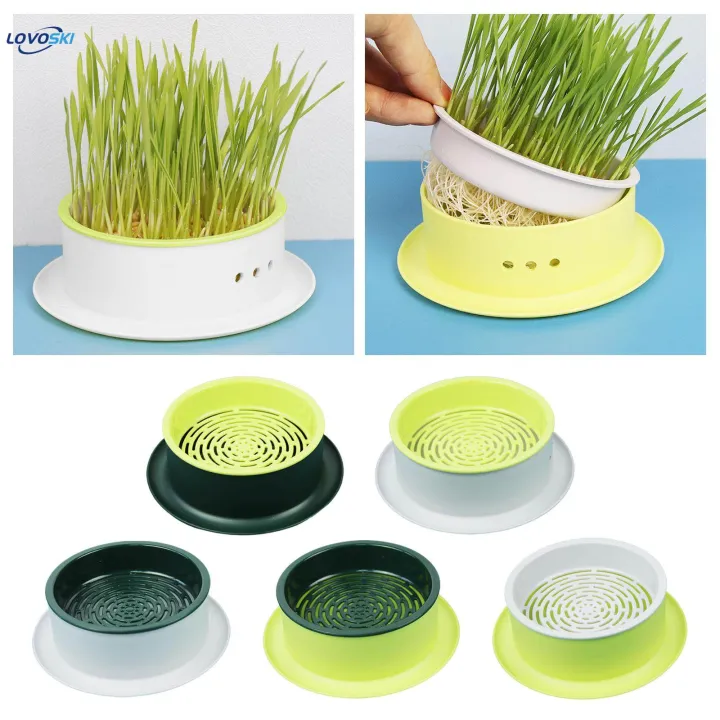 Box%20Cats%20Snack%20Tray%20Cats%20Grass%20Planting%20Box%20Tray%20Green%20Base%20Yellow%20-%20Image%206