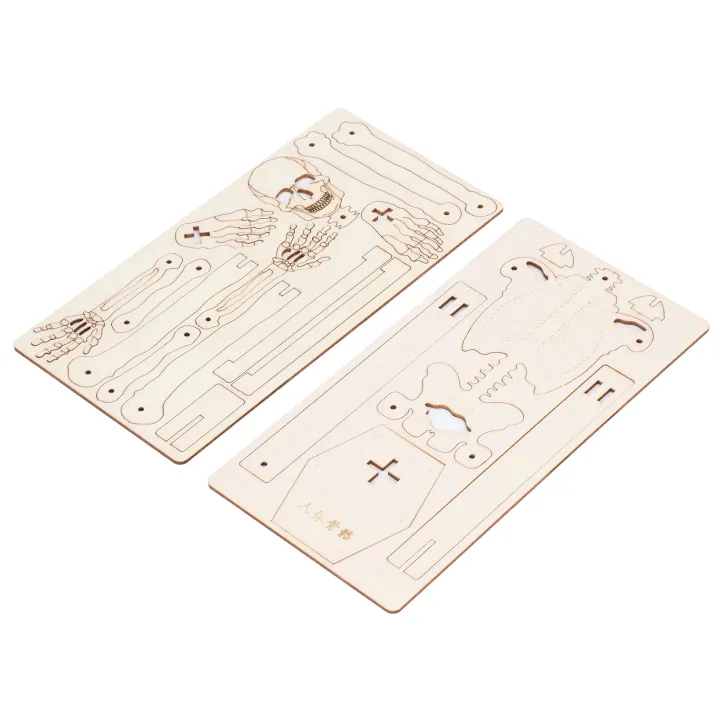 Human%20Skeletal%20Assemble%20Model%20Composite%20Wood%20DIY%20Skeleton%20Crafting%20Educationa%20US%20-%20Image%202