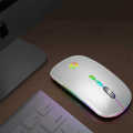WM-101 Mini Silent RGB Rechargeable 2.4GHz Wireless Mouse.