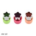 Vegetables Fruit Cutter Plastic Handle Stainless Steel Star Heart Shape Cook Tools Fruit Cutting Die 3Pcs/set Kitchen Gadgets-star set. 