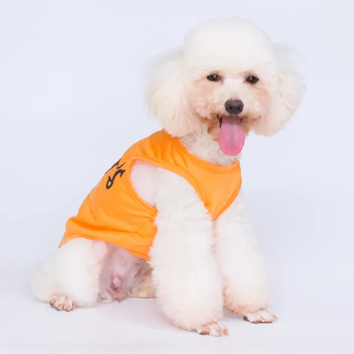 Pet%20Clothes,%20Mom's%20Son%20Teddy%20Dog%20Vest%20Spring/Summer%20-%20Image%202