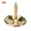 300PCS Upholstery Nails Tacks Stud-Pushpin Smooth Surface Decorative Furniture Pins. 