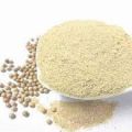 White pepper Powder - 100 gm-White round pepper gura. 