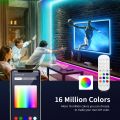 Homekit RGB LED Strip lights WiFi Siri Voice Smart Control Neon Tape Room lamp Decoration Work With Alexa/Google/Apple Home kit. 