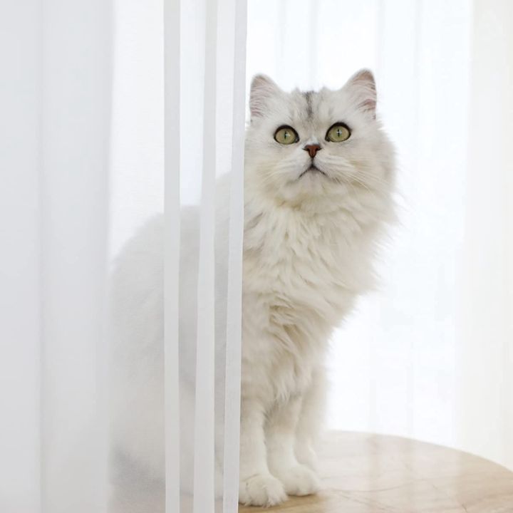 Window%20White%20Sheer%20Curtains%2084%20Inches%20Long%202%20Panels%20Sheer%20White%20Curtains%20Clear%20Curtains%20Basic%20Rod%20Pocket%20Panel%20-%20Image%203