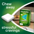 Nicorette 2mg Freshmint Gum 210 Gums Pack (International). 
