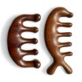 Multifunctional Scalp Resin Massage Comb for Hair Loss and Scalp Treatment Scraping and Unblocking Meridians Comb Portable Wide Tooth Wooden Comb.