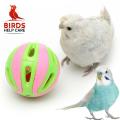 Birds playing for ball 2pcs. 