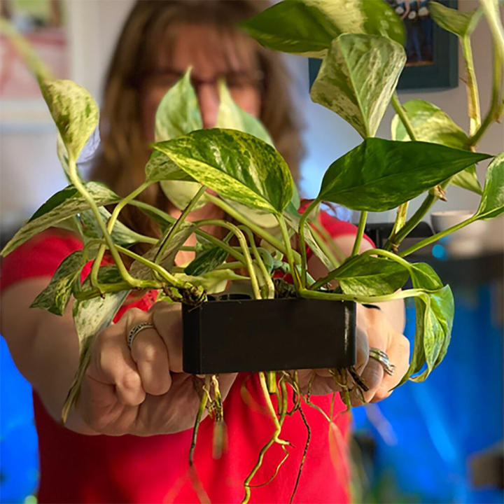 Hydroponic%20Glass%20Pot%20%20Cultivation%20Rack%20Storage%20Rack%20Fish%20Tank%20Emerging%20%20Holder%20Tank%20Water%20%20Landscape%20-%20Image%203