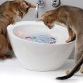 Cat Interactive Electric Fish Water Toy for Indoor Play Swimming Robot Fish Toys for Cat Dog Pet Baby Swimmer Bath Robofish Toys.