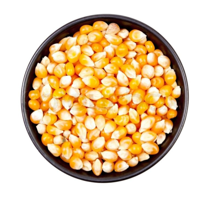 Pop - corn / vhutta - 500gm