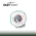 White Toilet Tissue 2 Pcs - Easy Tissue. 