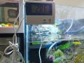 Digital Thermometer For Aquarium Fish Tank, Biofloc & Oter Fish Farming. 