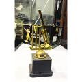 Stainless Steel Cricket Cup | Trophy | - Black & Golden.