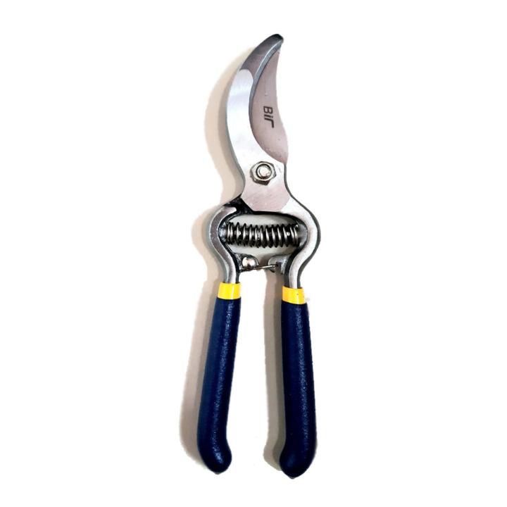 Professional 8 -inch garden scissors fruit trees trimming scissors - Great Value - Great to Have